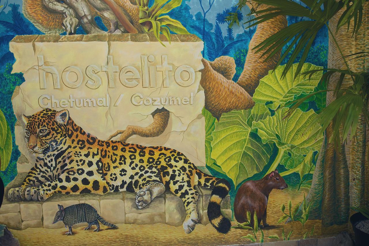 Hostelito Chetumal Hotel + Hostal Buitenkant foto